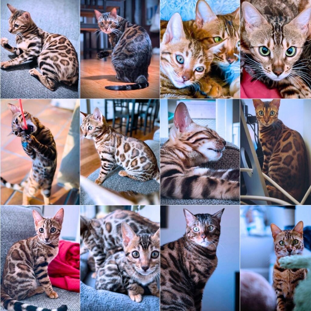 587765724_25467258056270556_7827795598176117171_n