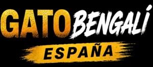 Comprar Gato Bengalí españa